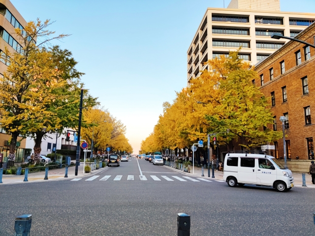 道路